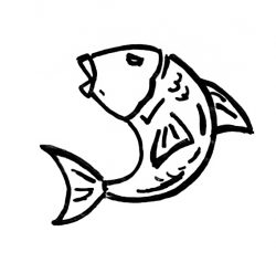 drawing of fish