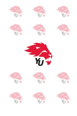 York Lions logo