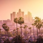 palm trees in front of cityscape of Los Angeles at sunset