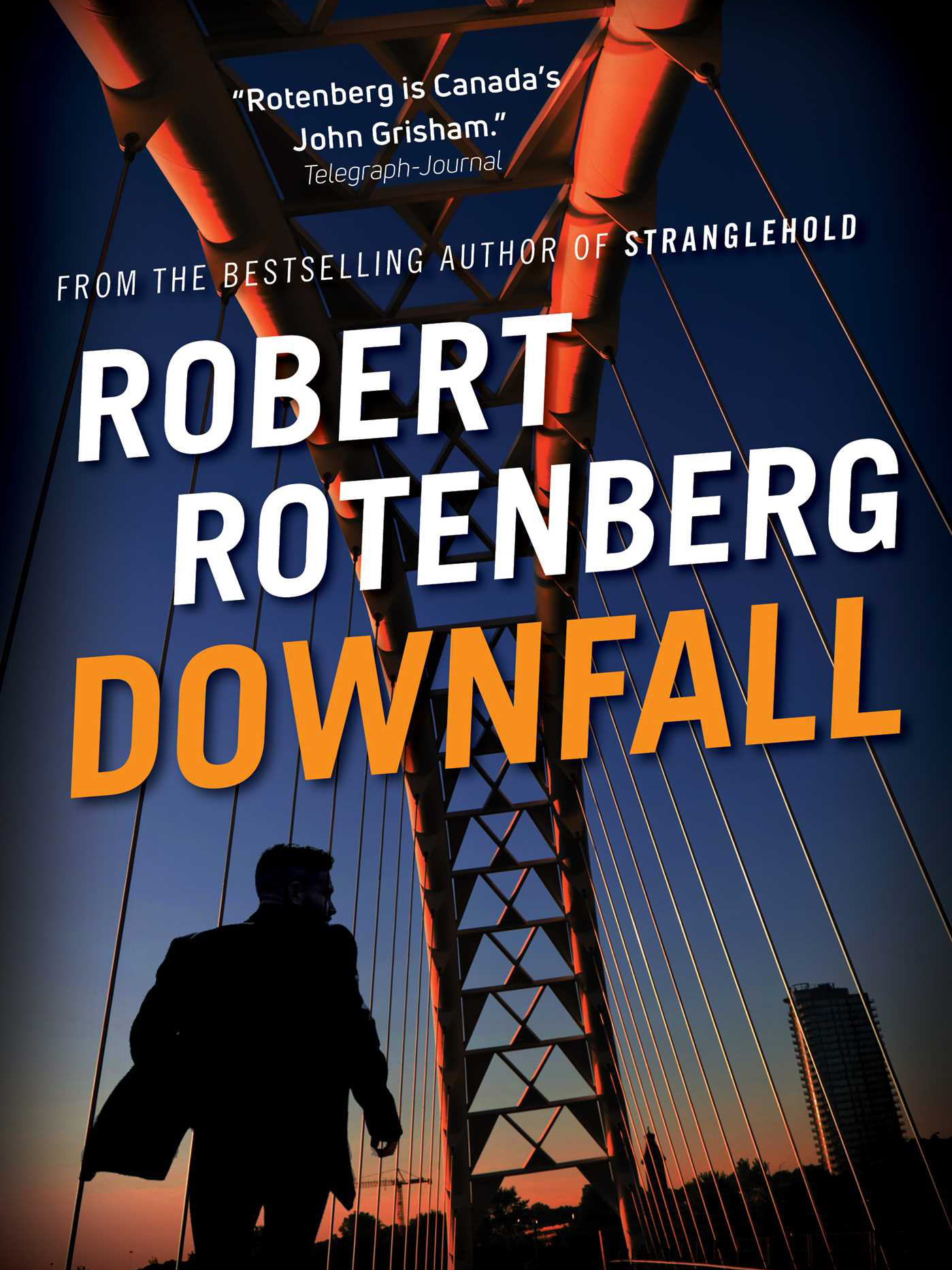 book cover of Robert Rotenberg novel Downfall